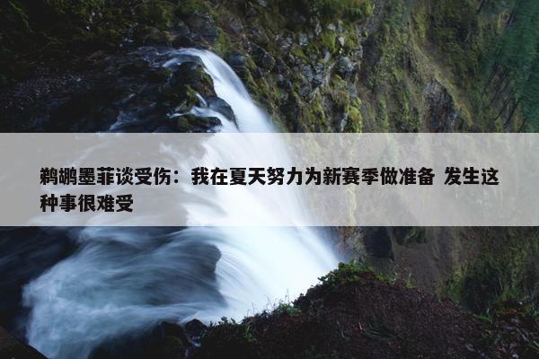 鹈鹕墨菲谈受伤：我在夏天努力为新赛季做准备 发生这种事很难受