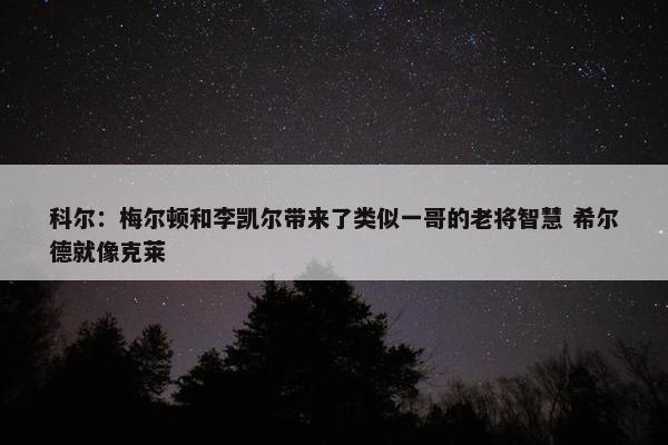 科尔：梅尔顿和李凯尔带来了类似一哥的老将智慧 希尔德就像克莱