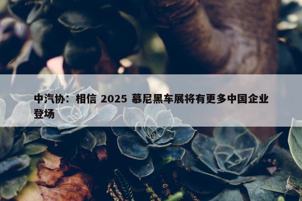 中汽协：相信 2025 慕尼黑车展将有更多中国企业登场