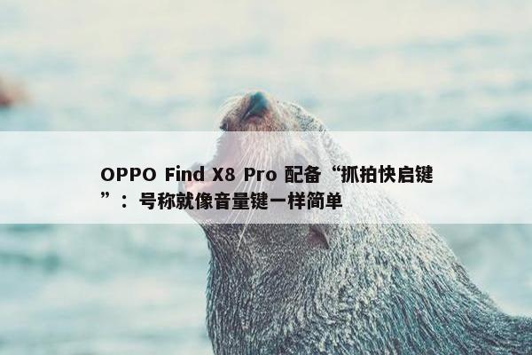 OPPO Find X8 Pro 配备“抓拍快启键”：号称就像音量键一样简单