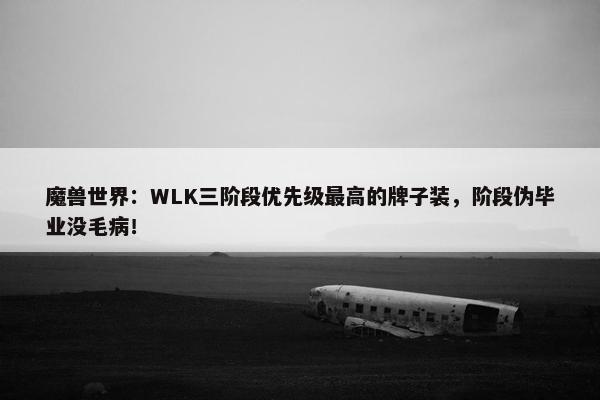 魔兽世界：WLK三阶段优先级最高的牌子装，阶段伪毕业没毛病！