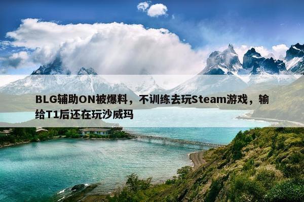 BLG辅助ON被爆料，不训练去玩Steam游戏，输给T1后还在玩沙威玛