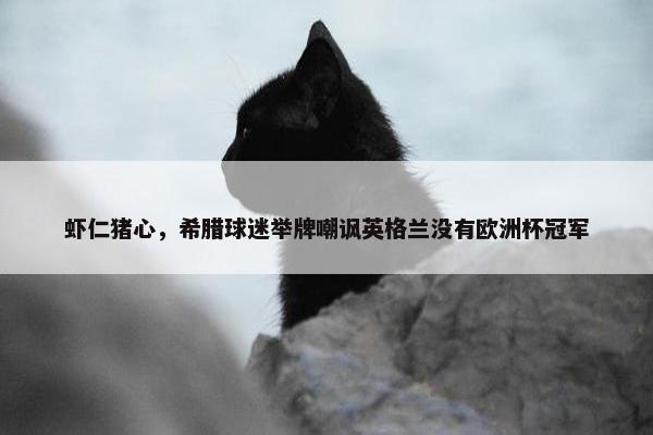 虾仁猪心，希腊球迷举牌嘲讽英格兰没有欧洲杯冠军