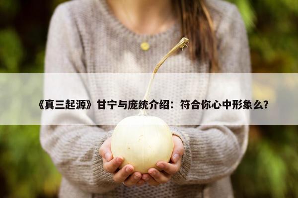 《真三起源》甘宁与庞统介绍：符合你心中形象么？