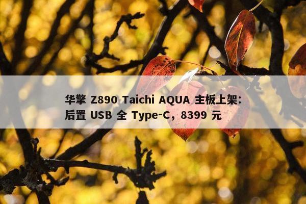 华擎 Z890 Taichi AQUA 主板上架：后置 USB 全 Type-C，8399 元