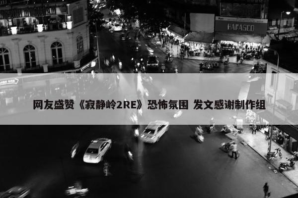 网友盛赞《寂静岭2RE》恐怖氛围 发文感谢制作组