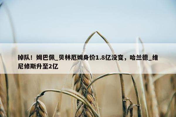 掉队！姆巴佩_贝林厄姆身价1.8亿没变，哈兰德_维尼修斯升至2亿