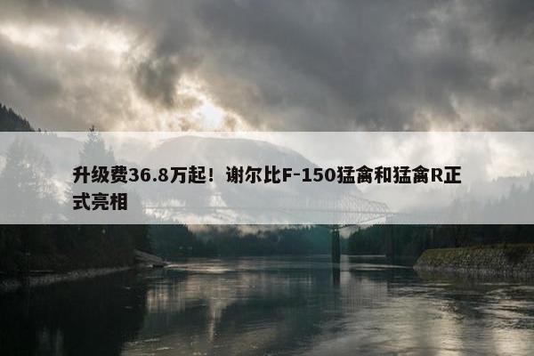 升级费36.8万起！谢尔比F-150猛禽和猛禽R正式亮相