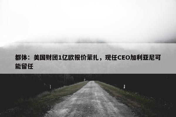 都体：美国财团1亿欧报价蒙扎，现任CEO加利亚尼可能留任