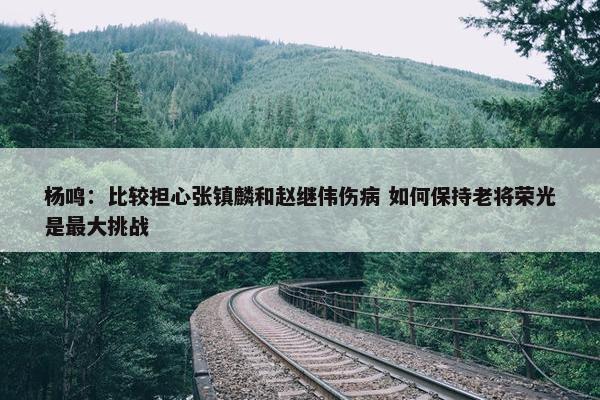 杨鸣：比较担心张镇麟和赵继伟伤病 如何保持老将荣光是最大挑战