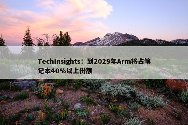 TechInsights：到2029年Arm将占笔记本40%以上份额