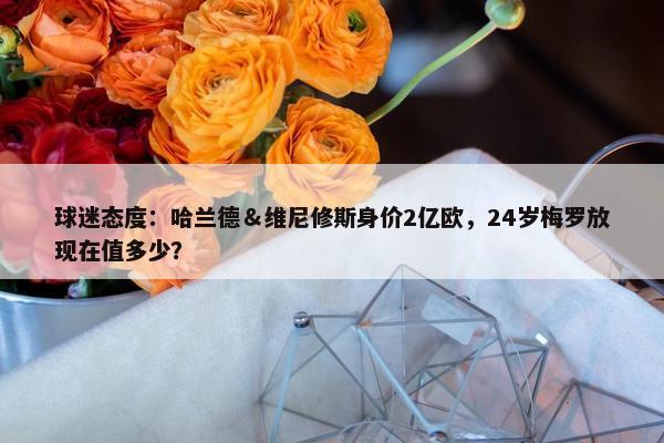 球迷态度：哈兰德＆维尼修斯身价2亿欧，24岁梅罗放现在值多少？