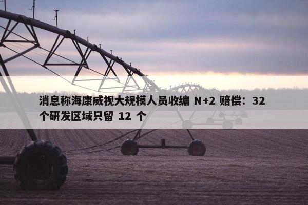 消息称海康威视大规模人员收编 N+2 赔偿：32 个研发区域只留 12 个