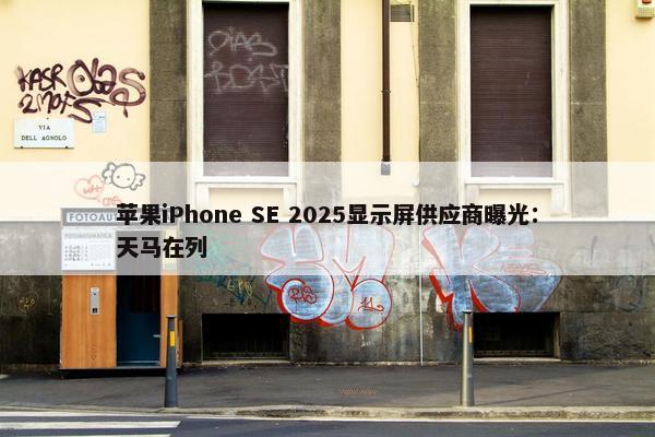 苹果iPhone SE 2025显示屏供应商曝光：天马在列