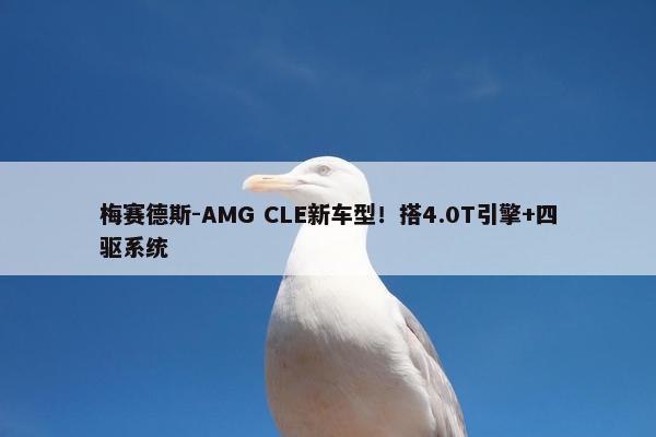 梅赛德斯-AMG CLE新车型！搭4.0T引擎+四驱系统