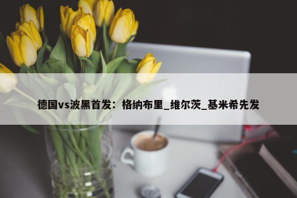 德国vs波黑首发：格纳布里_维尔茨_基米希先发