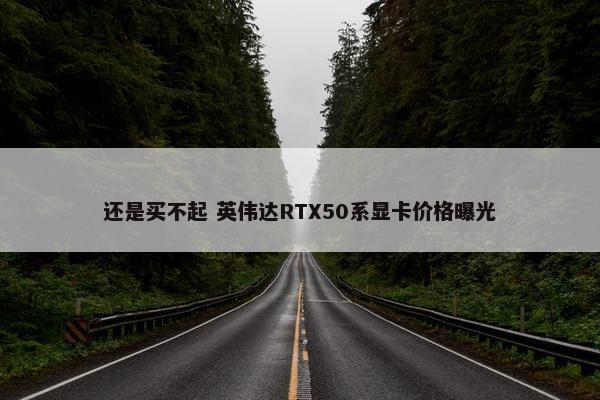 还是买不起 英伟达RTX50系显卡价格曝光