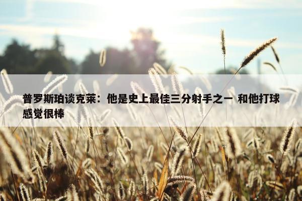 普罗斯珀谈克莱：他是史上最佳三分射手之一 和他打球感觉很棒