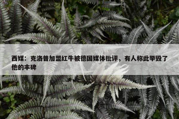 西媒：克洛普加盟红牛被德国媒体批评，有人称此举毁了他的丰碑