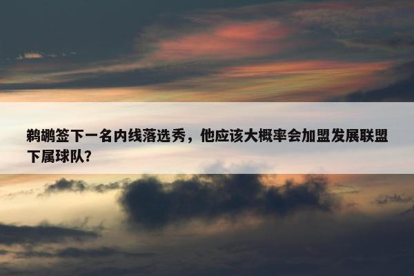 鹈鹕签下一名内线落选秀，他应该大概率会加盟发展联盟下属球队？