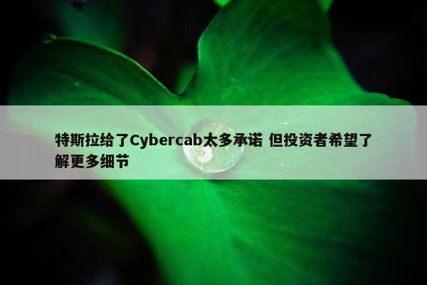 特斯拉给了Cybercab太多承诺 但投资者希望了解更多细节