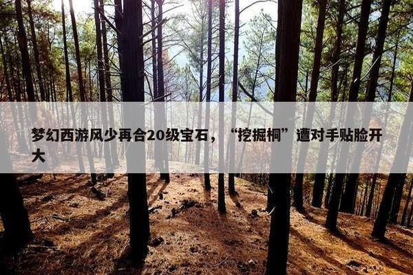 梦幻西游风少再合20级宝石，“挖掘桐”遭对手贴脸开大