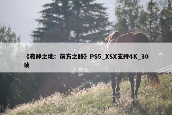 《寂静之地：前方之路》PS5_XSX支持4K_30帧