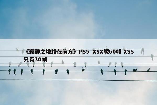 《寂静之地路在前方》PS5_XSX版60帧 XSS只有30帧