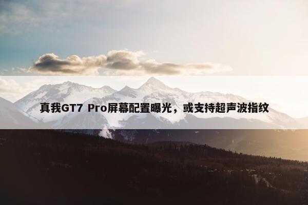 真我GT7 Pro屏幕配置曝光，或支持超声波指纹