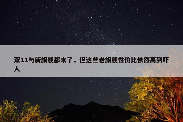 双11与新旗舰都来了，但这些老旗舰性价比依然高到吓人