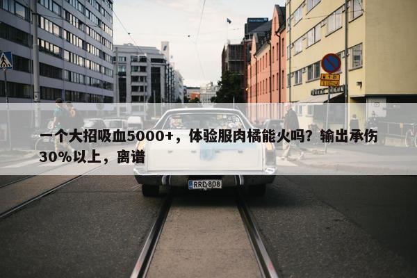 一个大招吸血5000+，体验服肉橘能火吗？输出承伤30%以上，离谱