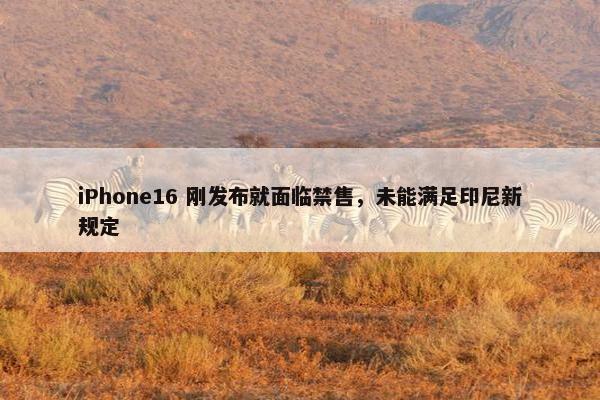 iPhone16 刚发布就面临禁售，未能满足印尼新规定