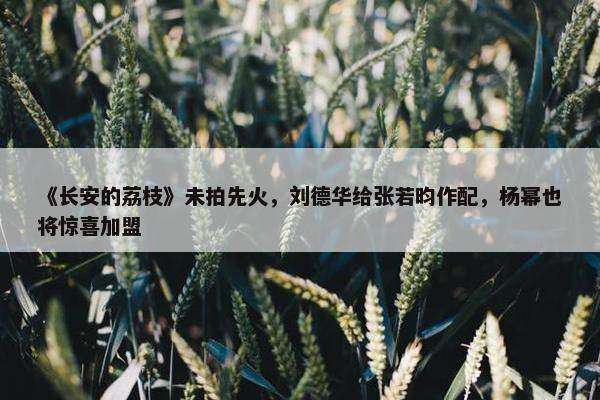 《长安的荔枝》未拍先火，刘德华给张若昀作配，杨幂也将惊喜加盟