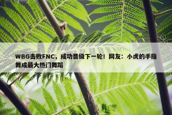 WBG击败FNC，成功晋级下一轮！网友：小虎的手指舞成最大热门舞蹈