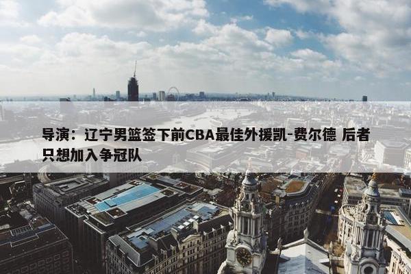 导演：辽宁男篮签下前CBA最佳外援凯-费尔德 后者只想加入争冠队