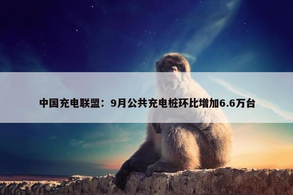 中国充电联盟：9月公共充电桩环比增加6.6万台