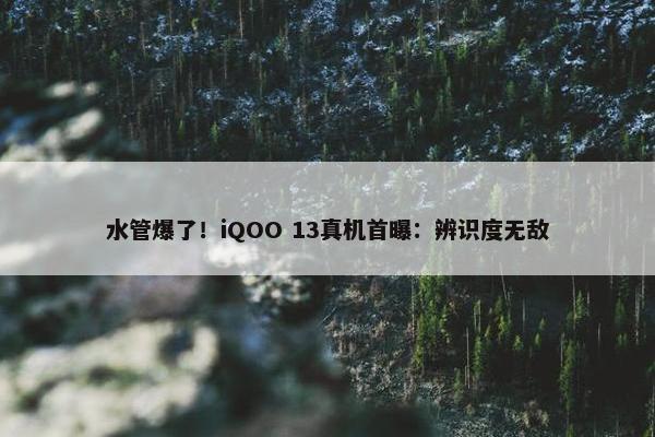 水管爆了！iQOO 13真机首曝：辨识度无敌