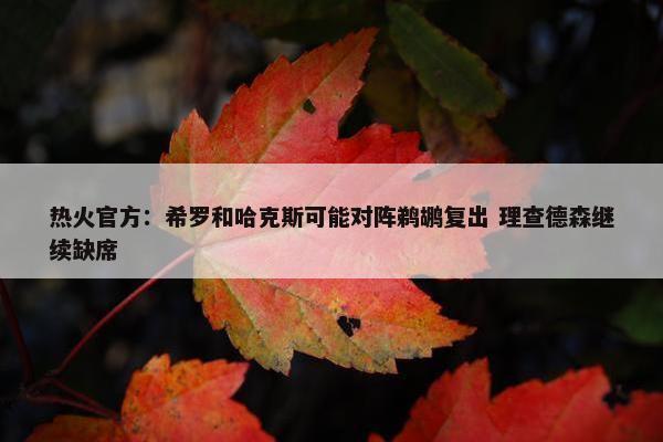 热火官方：希罗和哈克斯可能对阵鹈鹕复出 理查德森继续缺席