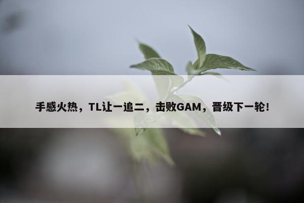 手感火热，TL让一追二，击败GAM，晋级下一轮！