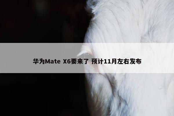 华为Mate X6要来了 预计11月左右发布