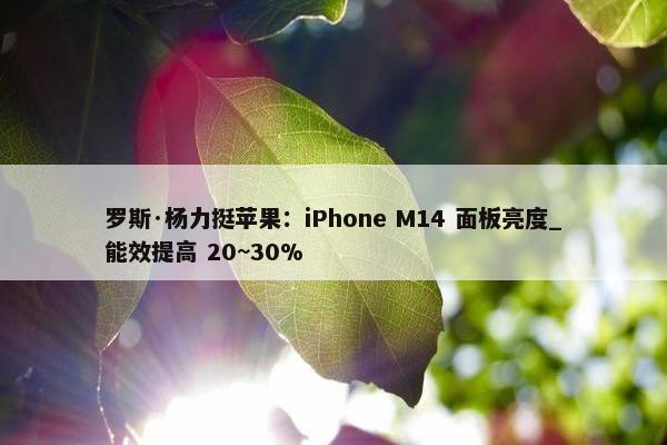 罗斯·杨力挺苹果：iPhone M14 面板亮度_能效提高 20~30%