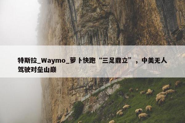 特斯拉_Waymo_萝卜快跑“三足鼎立”，中美无人驾驶对垒山巅