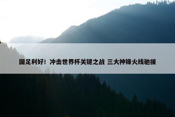 国足利好！冲击世界杯关键之战 三大神锋火线驰援