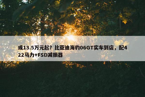 或13.5万元起？比亚迪海豹06GT实车到店，配422马力+FSD减振器