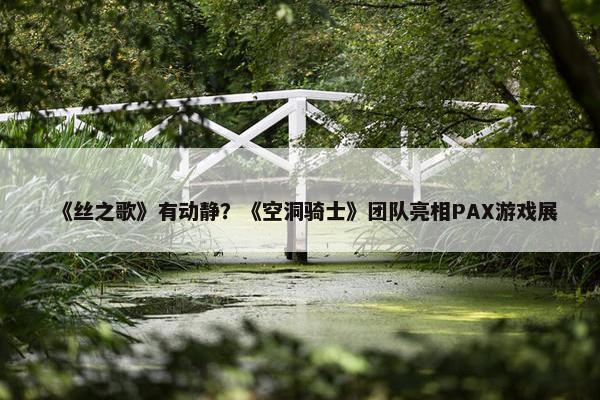 《丝之歌》有动静？《空洞骑士》团队亮相PAX游戏展