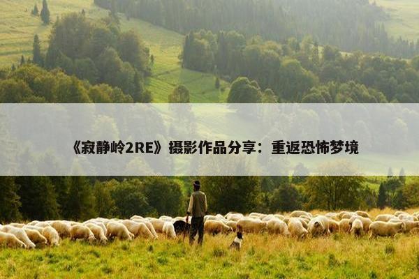 《寂静岭2RE》摄影作品分享：重返恐怖梦境