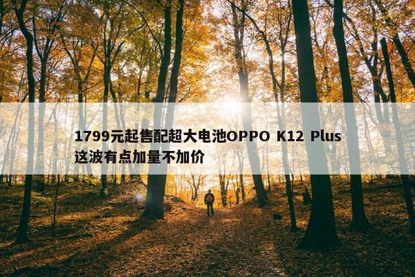 1799元起售配超大电池OPPO K12 Plus这波有点加量不加价