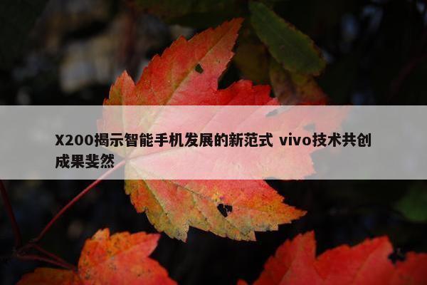 X200揭示智能手机发展的新范式 vivo技术共创成果斐然