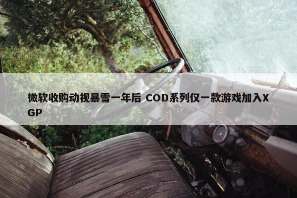 微软收购动视暴雪一年后 COD系列仅一款游戏加入XGP