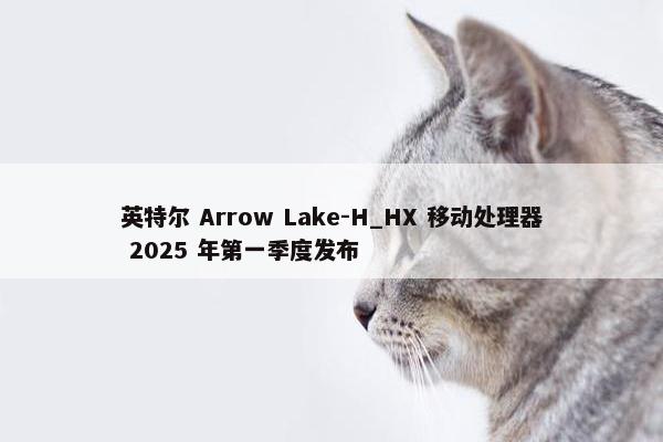 英特尔 Arrow Lake-H_HX 移动处理器 2025 年第一季度发布